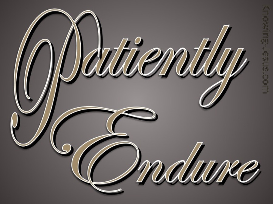 Patiently Endure (devotional) (brown)